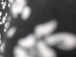 Amateur Live Porn of lovetattoo