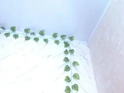 Amateur Live Sex of amandacanelacm