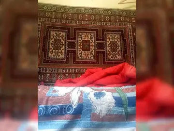 Bongacams Free Live Porn of Cekun
