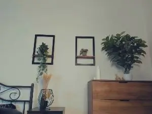 Cam4 Live Sex of JuleScheaffer