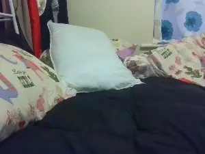 Cam4 Best Webcam of Sweetiesophia