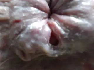 Camsoda Watch Live Sex Cams of thedoubleamazon