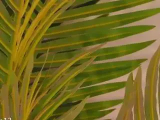 Camsoda Live Sex Cam of valery-swan