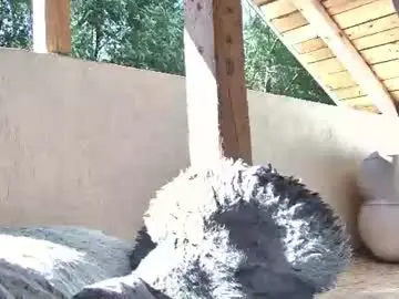 Chaturbate Sex Cam of anaworld69