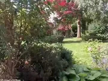 Chaturbate Free Live Porn of patry333