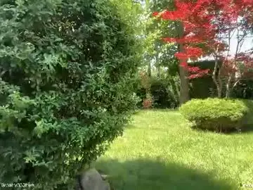 Chaturbate Free Live Porn of patry333