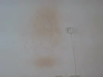 Chaturbate Live Porn of flasher_bigboobs