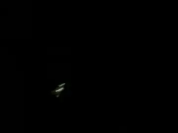 Chaturbate Adult Video Chat of good_girl_24