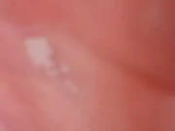Chaturbate Free Porn Cam of brockdemers1