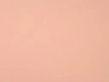 Chaturbate Live Porn of samanthavegga