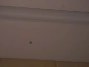 Chaturbate Live Porn of taitehambelton