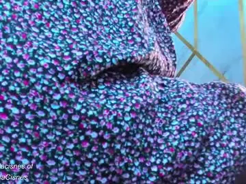 Chaturbate Adult Webcams of sweet_tits2