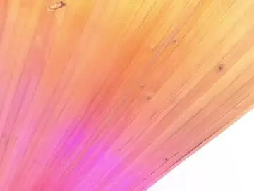 Chaturbate Live Sex of irisbeel