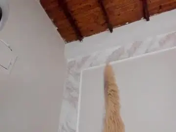 Chaturbate Live Sex of leslie_3