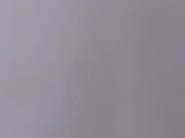 Stripchat Sex Cam of abby_stp
