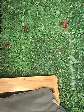 Stripchat Live Sex Cam of butterfly777_