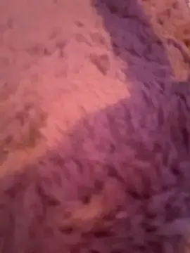 Stripchat Free Porn Cam of Terribletabby