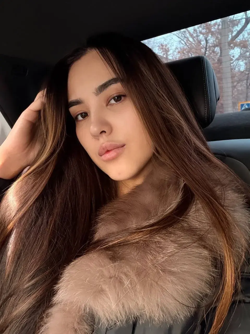 furry_bear